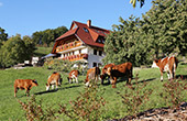 Ferienhof Schlossberghof Haslach Kinzigtal Schwarzwald